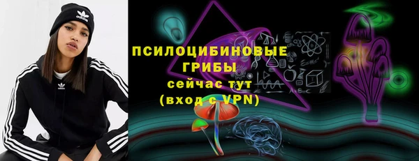 ПСИЛОЦИБИНОВЫЕ ГРИБЫ Волоколамск